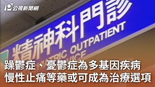 躁鬱症、憂鬱症為多基因疾病 慢性止痛等藥或可成為治療選項｜20250522 公視中晝新聞