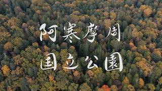 【紅葉🍁】秋の阿寒摩周国立公園（秋天的北海道）