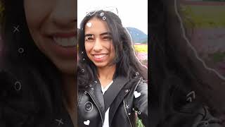 tulip festival weekend #tulip #weekend #weekendgetaway weekendget