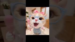 #cat #error404