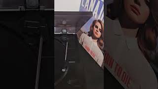 @LanaDelRey  #borntodie #vinyl #slowtempo #2012