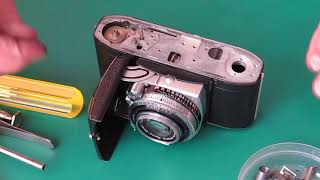 Retina IIc from Dunedin part 01