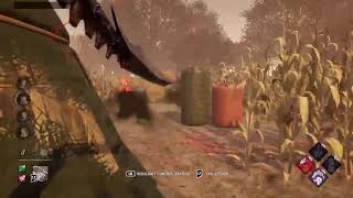 Doad The Toad live stream