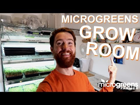 Microgreens Grow Room Setup and Supplies