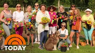 ‘Happiness Farms’ Raise Funds For Breast Cancer Research