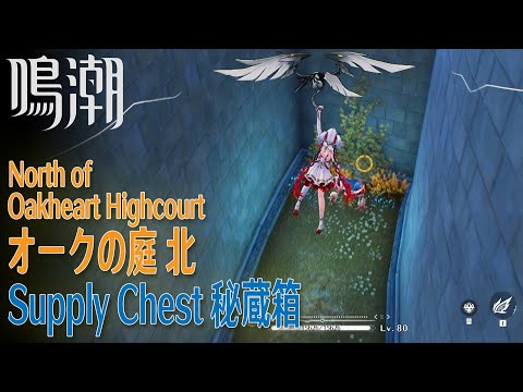 【鳴潮】秘蔵箱/リナシータ/オークの庭北 [Supply Chest,Northe Oakheart Highcourt,Rinascita,Wuthering Waves,37814]