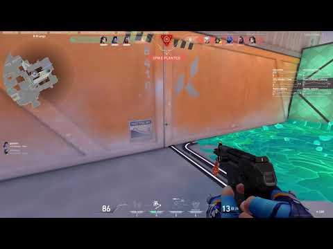 Valorant | Invisible Gun Bug