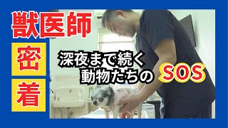 【獣医に密着】早朝から深夜まで…動物の声なき声に耳を傾け命を守る獣医師の一日