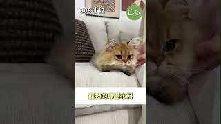 NICO|COCO沙發 ｜現代感高機能沙發開箱｜極致舒適坐感×灰系百搭質感，日常休息到聚會都完美適配！ #台南尼可家具 #home #nico #homedecor #3080-142