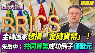 【包菁天外傳】金磚國家想搞「金磚貨幣」！朱岳中：共同貨幣成功例子僅歐元