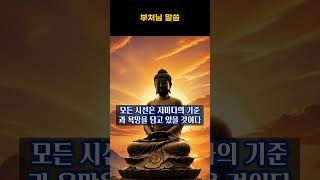 타인의 평가보다 내면의 평화를 선택하라 | #shorts #부처님말씀 #명언 #좋은글