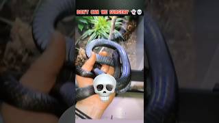 Power of snake  transformation 🐍💀#shortvideos #shortvideos #viralshort