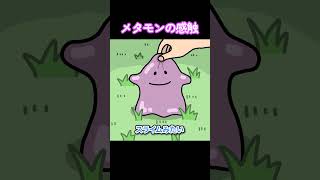 メタモンの感触【アニメ】