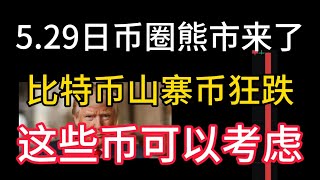 5.29日熊市来了！比特币山寨币狂跌！特朗普政策有导向！这些币可以考虑！
