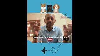 Pet’s flying in the cargo hold, safe or unsafe? Let’s break it down !✈️🐶