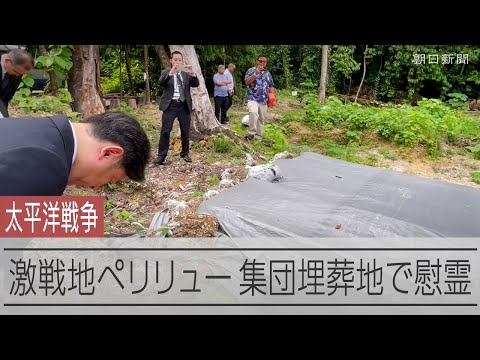 太平洋戦争の激戦地ペリリュー　確認された集団埋葬地を厚労相が視察
