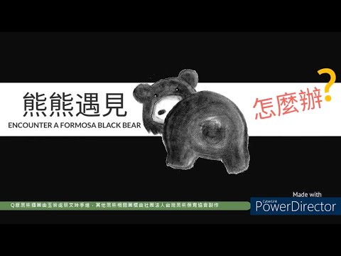 熊熊遇見Encounter a Formosan black bear