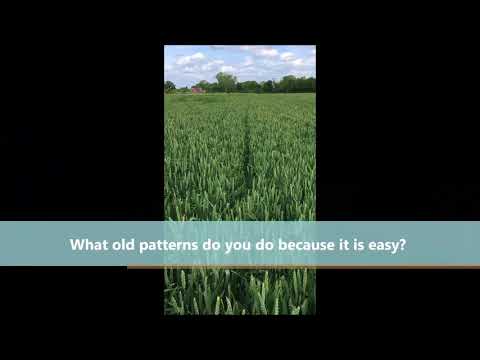 Two minute reflection on neuroplasticity and choice