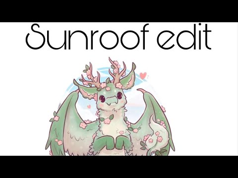 Sunroof edit (my first edit)