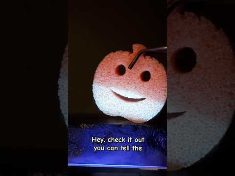 Halloween Science with Scrub Daddy 🎃🧪