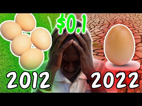 What Happened to Nigeria in the Last Decade? [2012-2022]