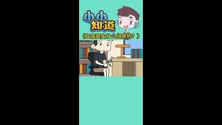 血液是由什么组成的？ #原创动画 #血液 #科普一下 #轻漫计划