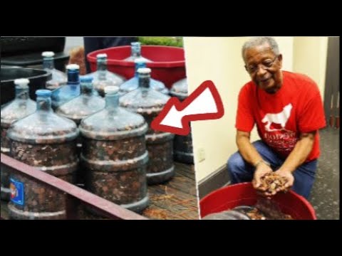 He Saved Pennies for 45 Years – You Won’t Believe the Final Amount!