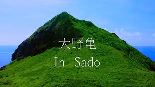大野亀　佐渡　ドローン撮影　#32　まだ見たことの無い風景達　Landscape photography