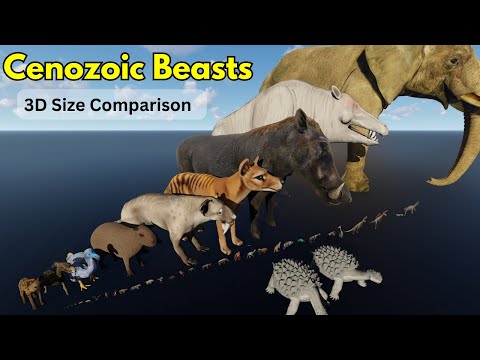 🦑Cenozoic Beasts Size Comparison 2023 🐳🐬🦭🐟🐠🐡🦈🐙🐚🐋🦑