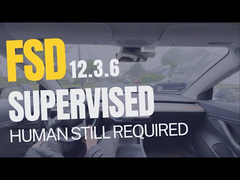Tesla FSD Supervised 12.3.6 - Human Still Required
