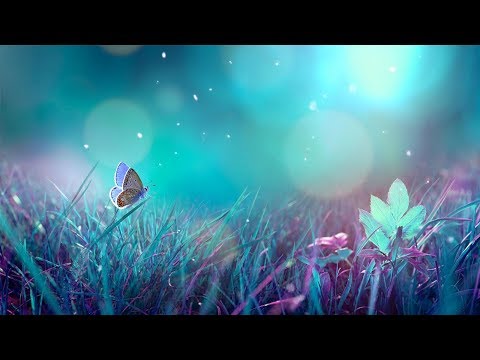 【100%無廣告 ,睡眠音樂】睡眠音樂 輕音樂 輕快 | 深度睡眠 | 睡眠轻音乐 放松 | 純音樂 輕快 安靜音樂 | 放鬆音樂 背景音乐 轻快 | 禪修音樂 心靈 ★83