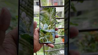 Tecno camon 40 photography test