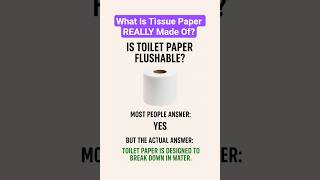 What Is Tissue Paper REALLY Made Of? 🧻 #Shorts #DailyFact #didyouknow