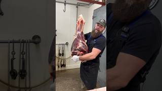 Breaking down a Bison round 🦬🔪🥩 #shorts #bison #butcher #butchering #meat