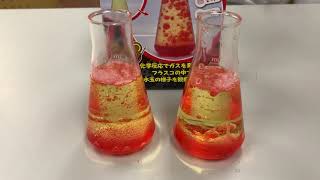 【商品紹介】フラスコで溶岩バブルをつくろう LUMKK31329