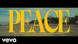 Danny Gokey - Peace (Official Music Video)