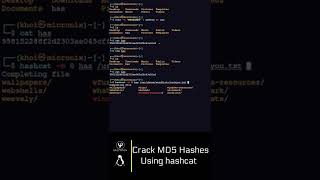 #Crack MD5 Hashes Using Hashcat #Kali Linux #Shorts