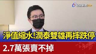 淨值縮水！ 潤泰雙雄再摔跌停 2.7萬張賣不掉