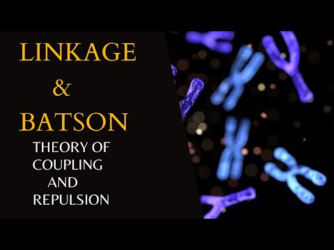 Linkage And Batson Theory Of Coupling And Repulsion