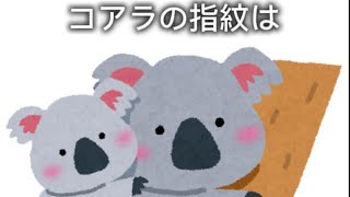 誰かに話したくなる雑学#豆知識#プチ知識
