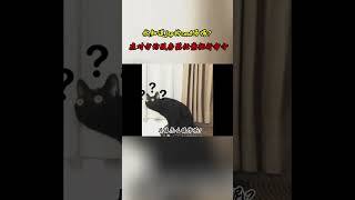NINJA OMEGA SEC  |  你知道什么是jsp的cmd马吗？在对方的服务器上任意执行命令 #黑客 #网络安全 #渗透测试
