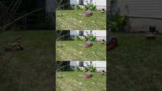 Bigger, Smarter, Better: Meet the Segway Navimow X315 Robot Lawn Mower