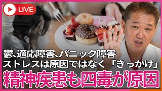 鬱、適応障害、パニック障害も四毒が原因　ストレスは原因ではなく「きっかけ」だった