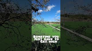 Give thanks  #babyfras #frasofalltrades #godisgood#shorts#fypyoutube#godisgreat#shorrfeed