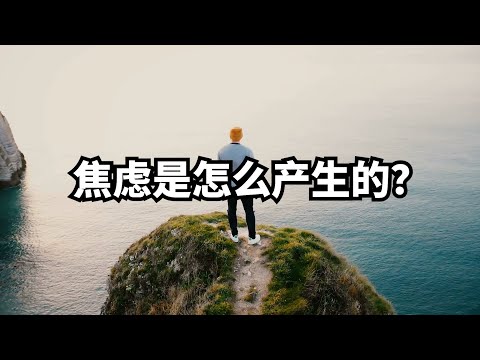 焦虑是怎么产生的？ | 爱丽丝与兔子洞 Alice & Rabbit Hole