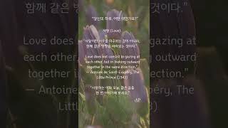 오늘의명언 #music #감성자막 #긍정적마인드 #긍정의말 #감사명언 #마음의소리로쓰는글