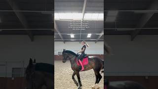 And she might be quite expensive! 🫣🐴🩷 #horse #equestrain #short