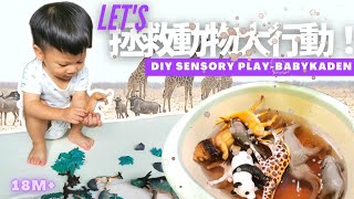 DIY 感官遊戲｜在家早教｜夏日感官｜拯救動物｜一歲遊戲｜Sensory play