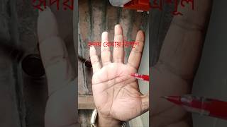 গরিব থেকে সহজেই ধনী হয়ে যায় #astrology