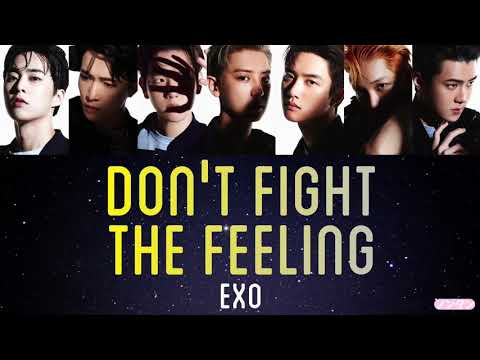 【 カナルビ / 日本語字幕 / 歌詞 】Don't fight the feeling - EXO (엑소)